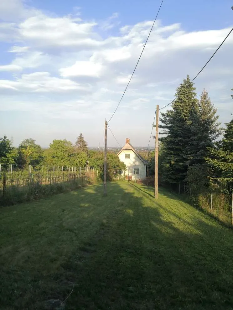 Gartenidylle am Bisamberg - Ansicht 2