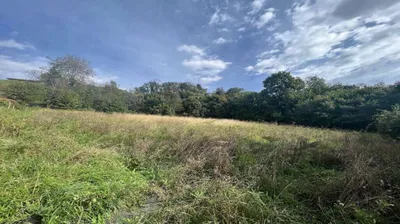 Grundstück kaufen in Leibnitz – 3 250 m², € 295.000 – Bild 5 von 5