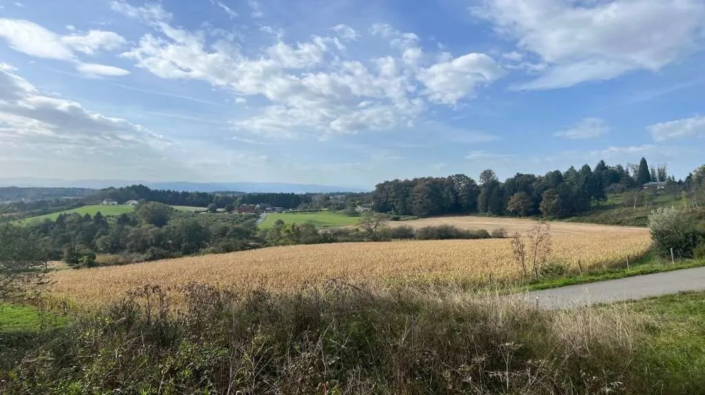 Baugrundstück Allerheiligen – pohled 2