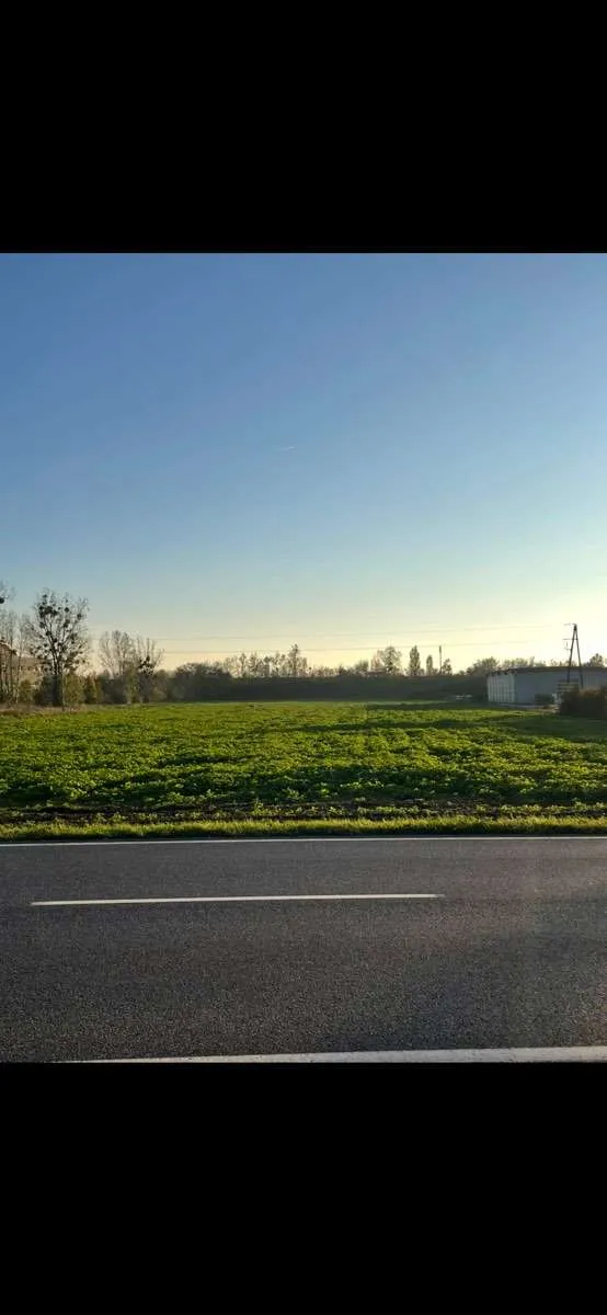 Betriebsbaugrund Top Lage - Ansicht 3