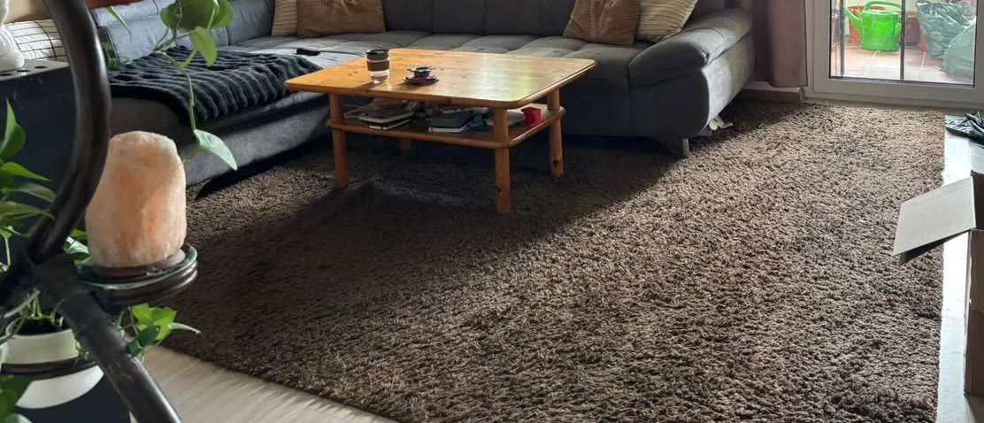 Teppich 3x4 m, € 0,- (3384 Groß Sierning)