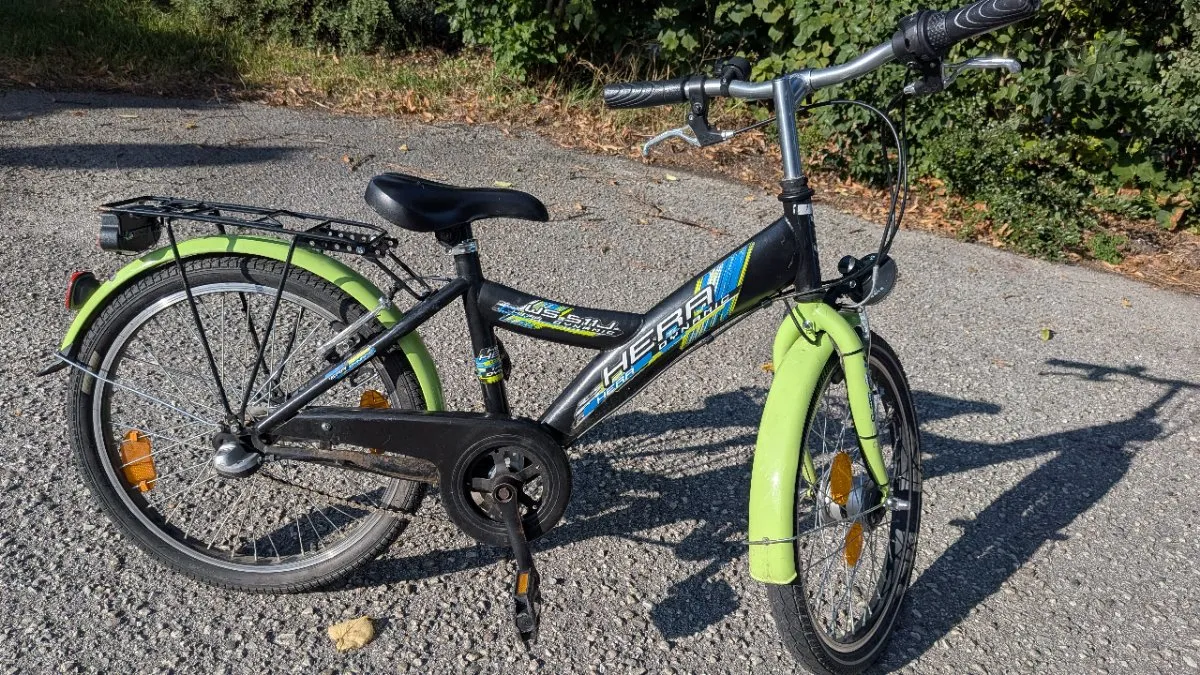 leichtes klapprad Fiido X 2025 – Pendler-E-Bike mit iF Design Award Badge Lenkungsdämpfer Fahrrad: Top 10 Varianten:2 Stück á 200g