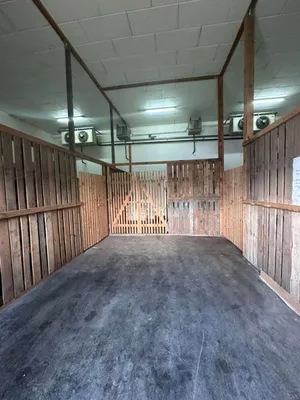 Immobilie mieten in Graz-Umgebung – 22 m², € 110 – Bild 10 von 10