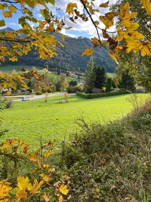 Grundstück kaufen in Steyr-Land – 1 290 m², € 99.000 – Bild 5 von 7