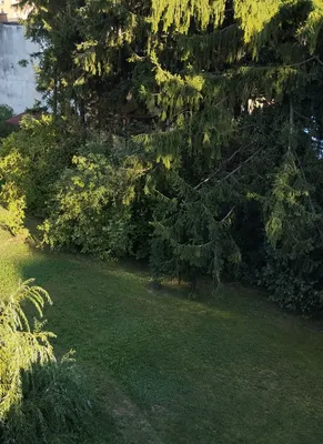 2-Zimmer-Wohnung mieten in Graz – 64 m², € 854 – Bild 4 von 8