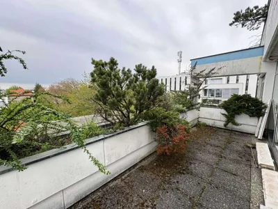 Gewerbeimmobilie kaufen in Wels – 1 616 m², € 1.400.000 – Bild 37 von 49