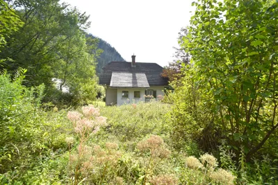 Immobilie kaufen in Liezen – 4 634 m², € 480.000 – Bild 9 von 21