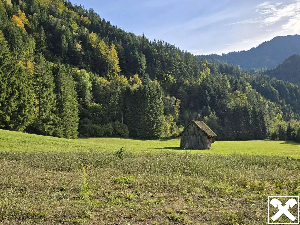 Grundstücke mit Zukunft - vielseitig nutzbare Wald- und Wiesenflächen in idyllischer Lage von Bad Eisenkappel - Ansicht 2