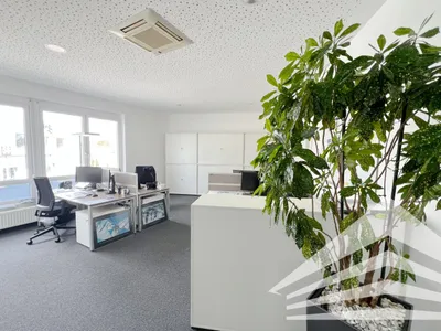 6-Zimmer-Gewerbeimmobilie mieten in Linz – 317 m², € 4.948 – Bild 1 von 10