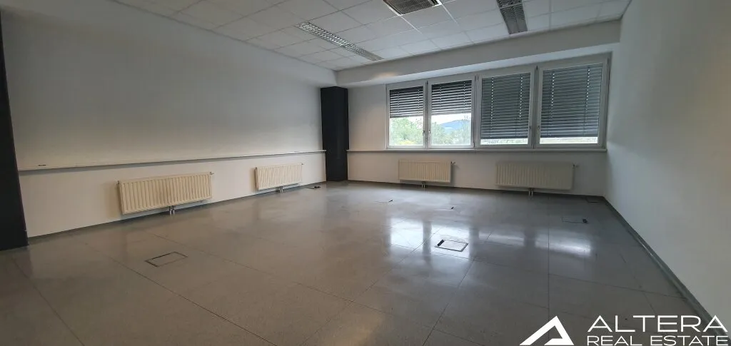 Gösting! - Große und gepflegte Bürofläche für etablierte Unternehmen! - Ansicht 3