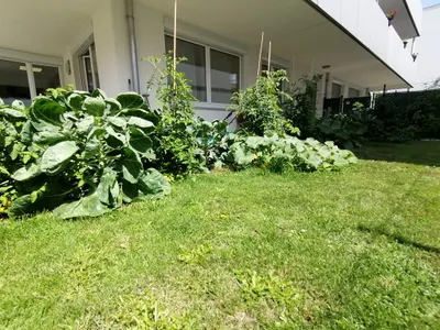 2-Zimmer-Wohnung mieten in Korneuburg – 53 m², € 850 – Bild 3 von 7