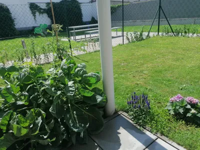 2-Zimmer-Wohnung mieten in Korneuburg – 53 m², € 850 – Bild 2 von 7