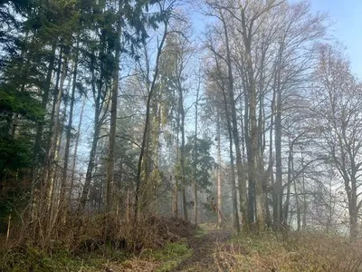 Grundstück kaufen in Deutschlandsberg – 3 433 m², € 280.000 – Bild 4 von 8