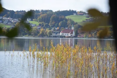 Grundstück kaufen in Salzburg-Umgebung – 469 m², € 490.000 – Bild 7 von 9