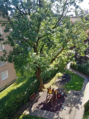 3-Zimmer-Wohnung mieten in Salzburg Stadt – 75 m², € 1.380 – Bild 9 von 10