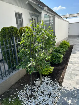 5-Zimmer-Immobilie kaufen in Wien – 220 m², € 819.000 – Bild 31 von 34