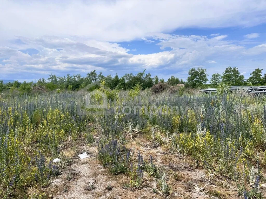 Großes 2.944m² Landwirtschafts-Grundstück in Sollenau zu mieten - Top Lage! - Ansicht 2