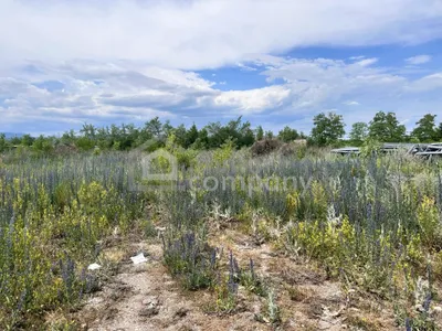 Grundstück mieten in Wiener Neustadt Land – 2 944 m², € 2.944 – Bild 2 von 6