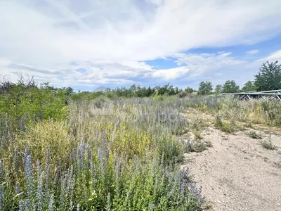 Grundstück mieten in Wiener Neustadt Land – 2 944 m², € 2.944 – Bild 3 von 6