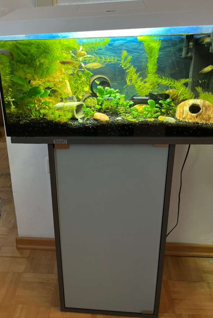 Aquarium mit Untergestell ca. 850 l factory