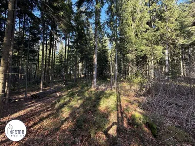 5-Zimmer-Haus kaufen in Gmünd – 165 m², € 400.000 – Bild 2 von 12