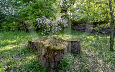 6-Zimmer-Haus kaufen in Wien – 280 m², € 6.900.000 – Bild 25 von 29