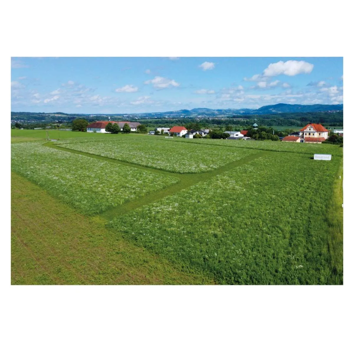 WEITBLICK - 685 m² Eckgrundstück in sonniger Aussichtslage - Provisionsfrei - Ansicht 2