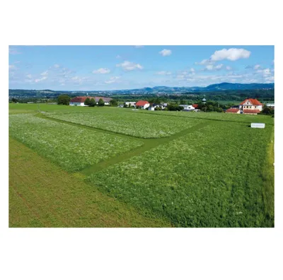 Grundstück kaufen in Steyr-Land – 685 m², € 149.900 – Bild 2 von 4