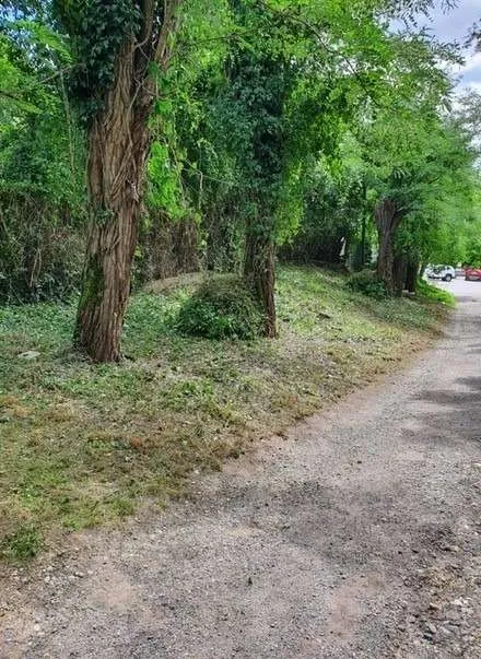 2 Pacht-/ Baurechtsgrundstücke in idyllischer Waldlage – pohled 2