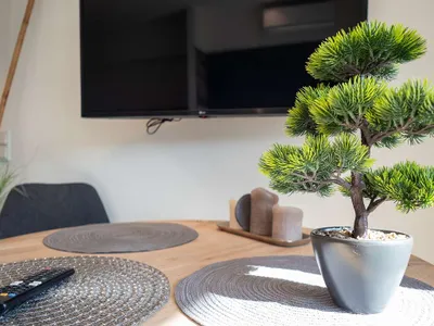 1-Zimmer-Wohnung mieten in Klagenfurt Land – 26 m², € 800 – Bild 6 von 9