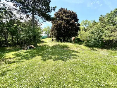 Grundstück kaufen in Neusiedl am See – 1 109 m², € 489.000 – Bild 8 von 22