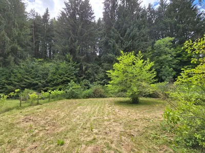 1-Zimmer-Wohnung kaufen in Spittal an der Drau – 1 951 m², € 105.000 – Bild 4 von 18