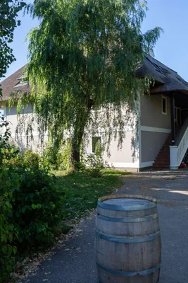 3-Zimmer-Wohnung mieten in Neusiedl am See – 75 m², € 1.280 – Bild 20 von 23