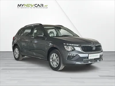Skoda Kamiq Selection TSI *NEU!*