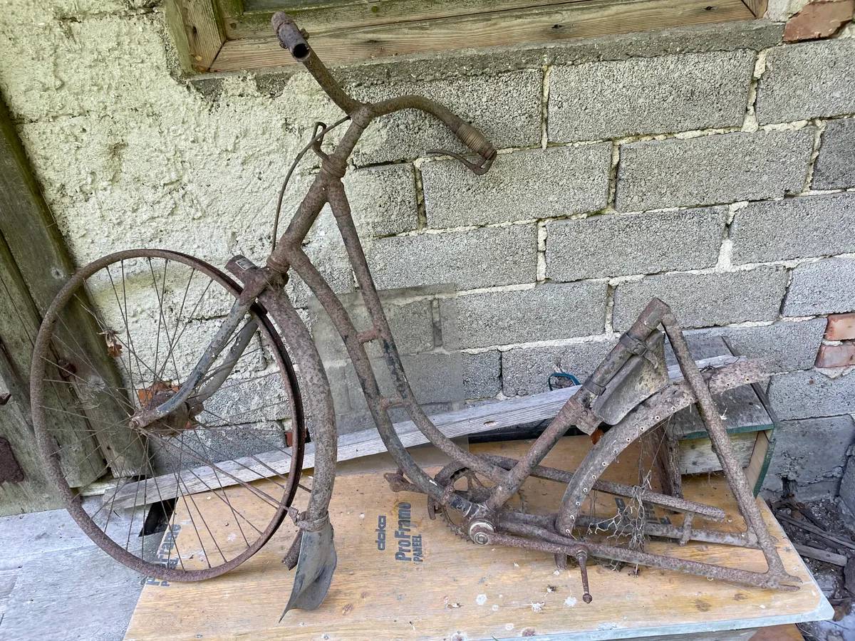 fahrradrahmen 28 zoll damen Alu Fahrrad Rahmen City Tiefeinsteig Easy Boarding Bike Frame Beige Sport & Freizeit CYCLOCROSS - Zweirad Fuhr Bulls EVO Twenty8 45 Style:Treadwell 2 Remixte LTD Raw