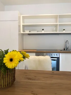 1-Zimmer-Wohnung mieten in Salzburg Stadt – 43 m², € 1.500 – Bild 10 von 25