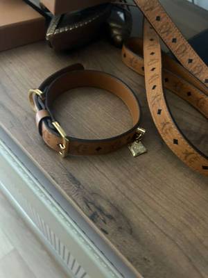 MCM Hundehalsband mit Leine von MCM,  150,- (2320 Schwechat) - willhaben
