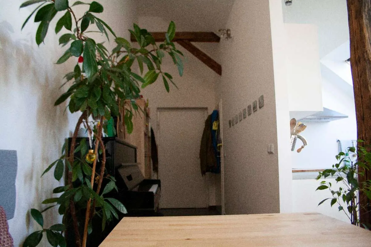 Wohnung – Eggenberg - Ansicht 3