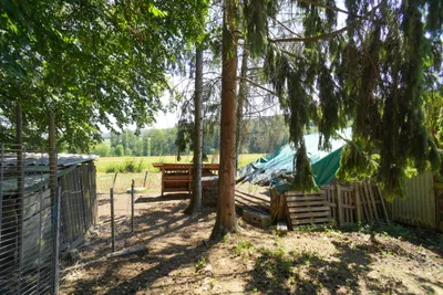 Grundstück kaufen in Hartberg-Fürstenfeld – 8 742 m², € 69.000 – Bild 13 von 21