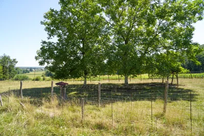 Grundstück kaufen in Hartberg-Fürstenfeld – 8 742 m², € 69.000 – Bild 5 von 21