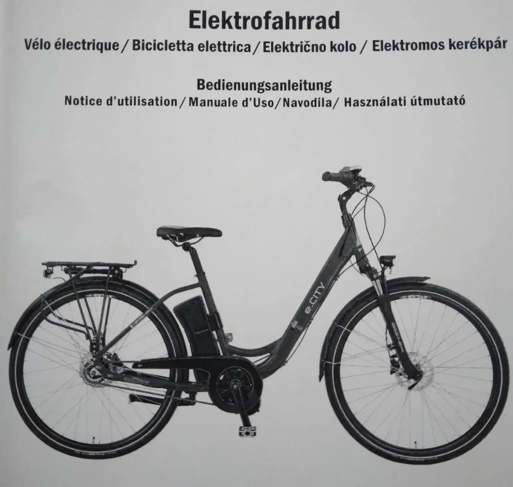 fahrradanhänger für hunde faltbar Trevopet® Hundeanhänger Fahrrad XL – Faltbarer Hundefahrradanhänger mit Rampe, Federung & Kupplung – bis 45kg – Wasserdicht – Kompatibel mit E-Bikes – Grau Haustier City Speed 920 Decathlon Kompostieren Color:Weiß