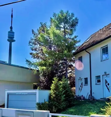5-Zimmer-Haus mieten in Wien – 138 m², € 3.199 – Bild 11 von 47