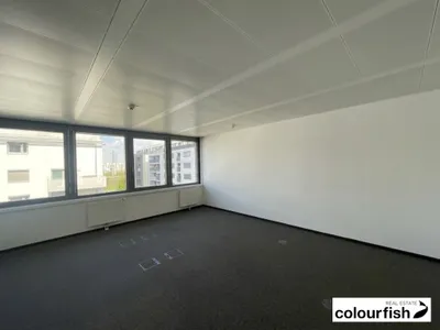 Gewerbeimmobilie mieten in Wien – 495 m², € 9.733 – Bild 3 von 8