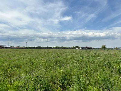 Grundstück kaufen in Baden – 20 501 m², € 620.000 – Bild 3 von 4