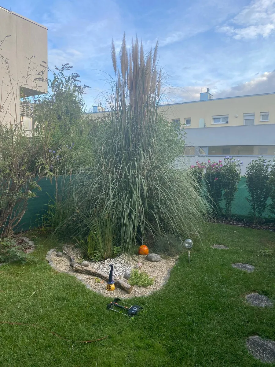 Nachmieter für schöne Genossenschaftswohnung mit Garten in Kottingbrunn gesucht – pohled 2