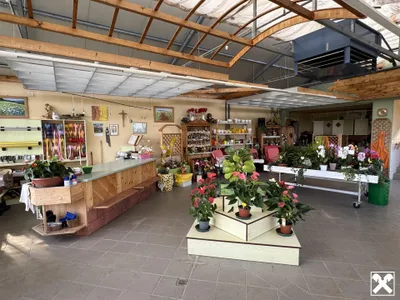 7-Zimmer-Grundstück kaufen in Zwettl – 190 m², € 390.000 – Bild 5 von 15