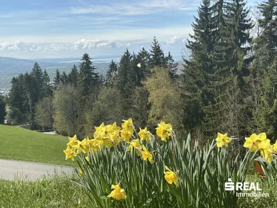 Grundstück kaufen in Bregenz – 1 236 m², € 590.000 – Bild 4 von 19