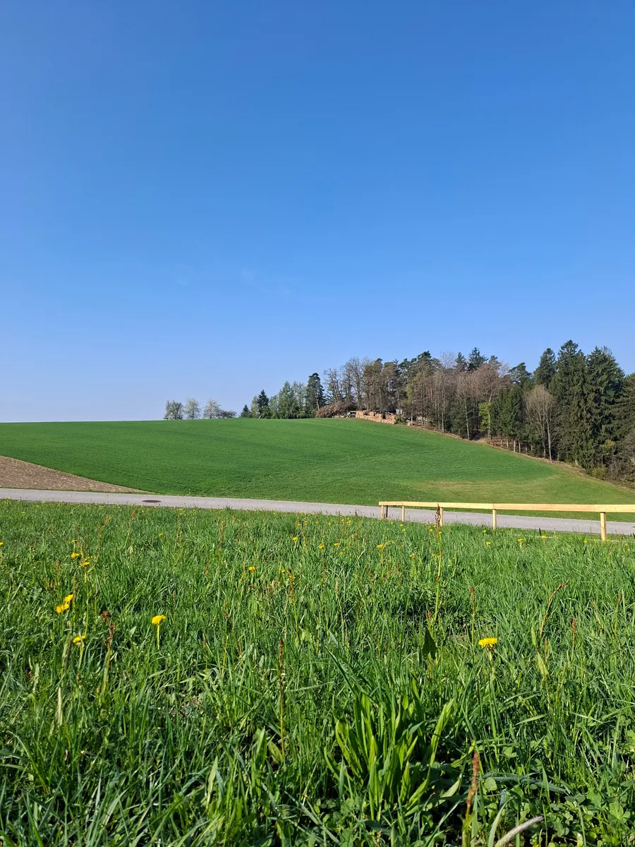 Naturnah - Stadtnah: Traumhaftes Baugrundstück in Lichtenberg OÖ - Widok 2