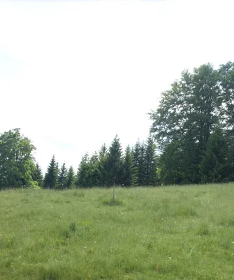 Grundstück kaufen in Deutschlandsberg – 822 m², € 120.000 – Bild 12 von 12
