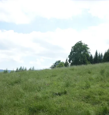 Grundstück kaufen in Deutschlandsberg – 822 m², € 120.000 – Bild 11 von 12